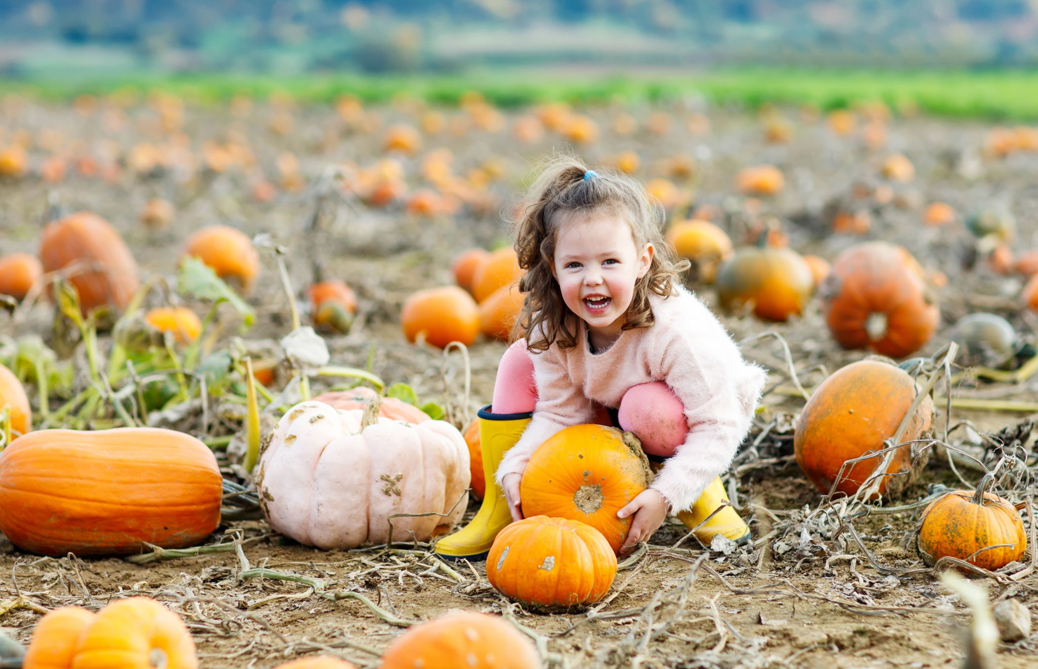 Vielen Dank an unsere Bauern, ohne die kein Halloween-Fest möglich wäre!